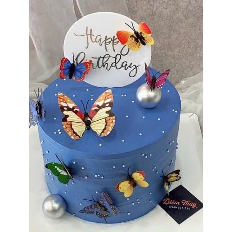 Bướm 3D Nhiều Màu | Bịch 100 Cái