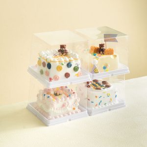 Hộp Bánh Pet Nhỏ Cầm Tay | 50 Chiếc