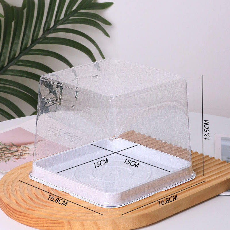 Hộp Bánh Pet Nhỏ Cầm Tay | 50 Chiếc - Ảnh 6