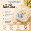 Kẹo Gum Hoa Điểm Bánh | Hộp 100 c